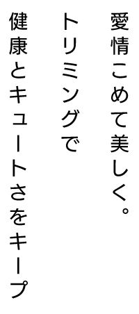 愛情こめて美しく。トリミングで健康とキュートさをキープ